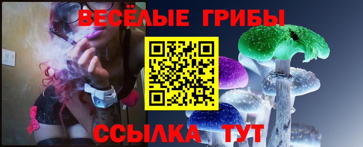 Усть-Илимск  как найти закладки  Вход с VPN  Галлюциногенные грибы ЛСД 